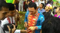 Ahok Melompat, Tidak Tahan Makan Buah Jamblang di Cililitan