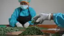 Tumbuhan yang akan dijadikan bahan untuk jamu dipotong menjadi kecil, Jateng, Selasa (31/3/2015). Jamu dipercaya oleh masyarakat Indonesia secara turun temurun bisa mengobati berbagai macam penyakit.(Liputan6.com/Johan Tallo)