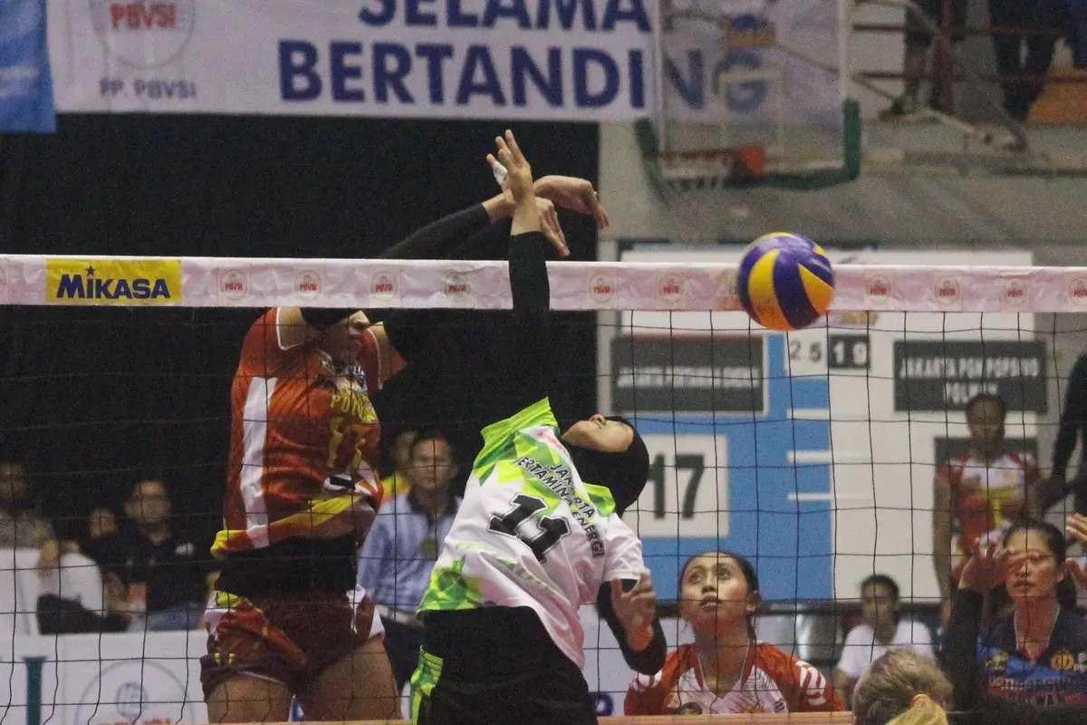 Proliga 2017