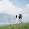 Jangan Berangkat Liburan Sebelum 5 Travel Essential Ini Masuk Koper