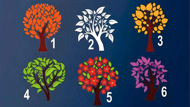 Pilih Pohon Favorit dalam 30 Detik, Ketahui Kesan yang Kamu Tampilkan pada Orang Lain