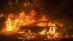 Sebuah mobil terbakar saat kebakaran yang terjadi di dekat Mountain Ranch , Kalifornia, Amerika Serikat, Jumat (11/9/2015). Gubernur Kalifornia, Jerry Brown mengumumkan keadaan darurat untuk wilayah Amador dan Calaveras. (REUTERS/Noah Berger)
