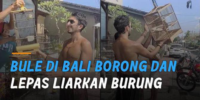 VIDEO: Viral Bule di Bali Borong dan Lepas Liarkan Burung yang Dijual