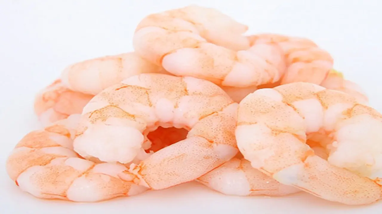 Ilustrasi udang