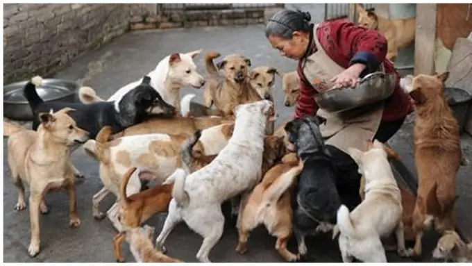 (c) odditycentral.com