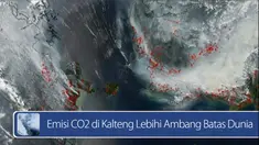 Daily TopNews hari ini akan menyajikan berita seputar Emisi CO2 di Kalteng lebihi ambang batas dunia dan 5 tips jadi sales sukses. Seperti apa berita lengkapnya? Simak di sini yuk 