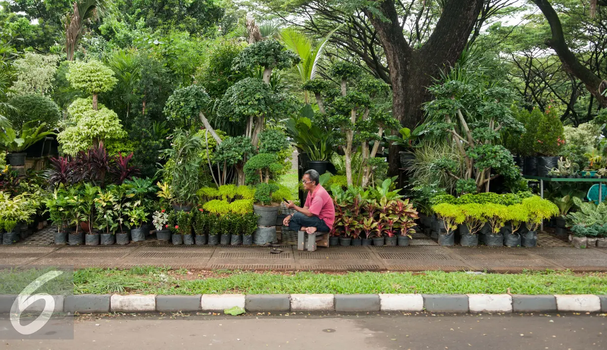 Pedagang tanaman hias menunggu pembeli di parkir Timur Senayan, jakarta, Rabu (8/2). Sejumlah pedangang mengaku sepi pembeli usai direlokasi ke dalam Kompleks GBK tujuh bulan lalu. (Liputan6.com/Gempur M. Surya)