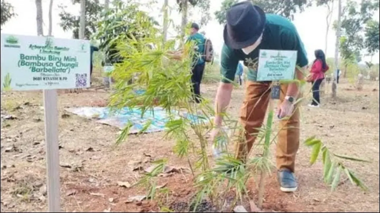 Mengenal Arboretum Bambu Hingga Upaya Pemkab Purwakarta Harmonisasi Pendidikan dengan Lingkungan