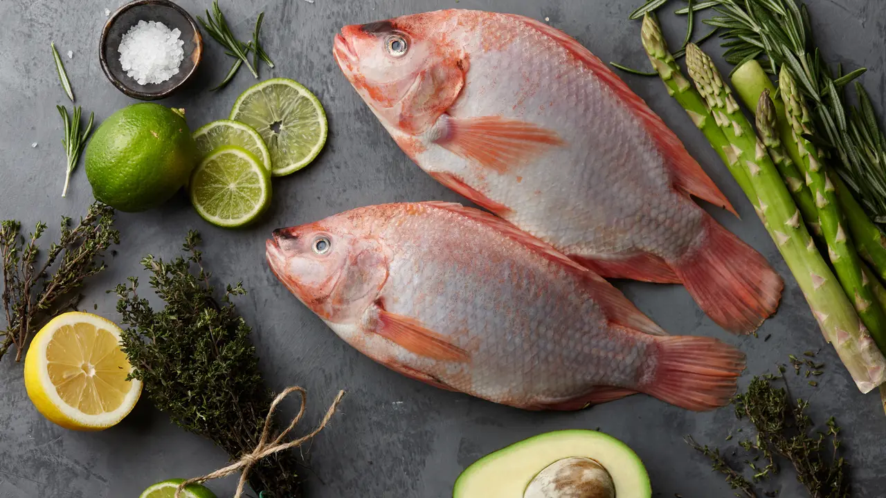 Ikan Tilapia