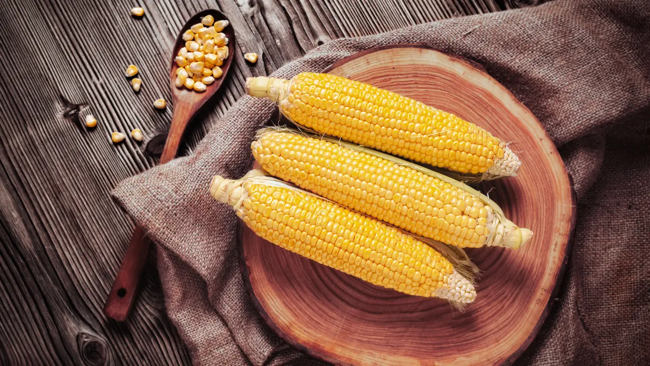 jagung muda