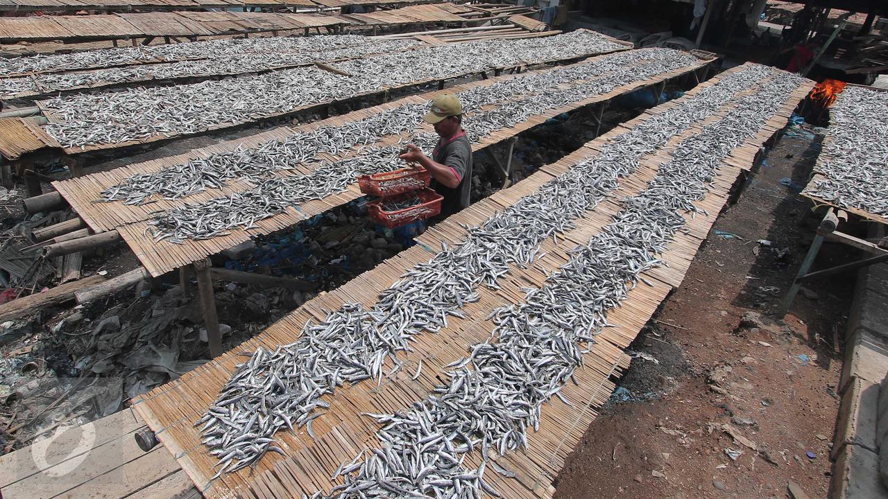 20151204-Pasokan Menurun, Utilitas Industri Pengolahan Ikan Hanya Tersisa 40%