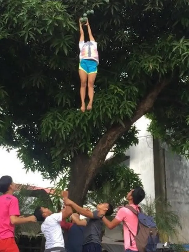 petik mangga ala cheerleader