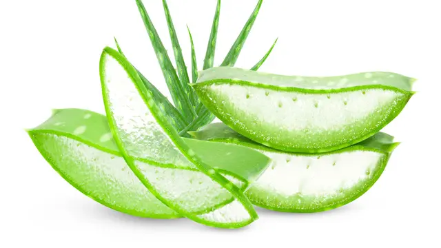 3 Bahan Alami yang Bisa Digunakan Untuk Menebalkan Alis / copyright shutterstock