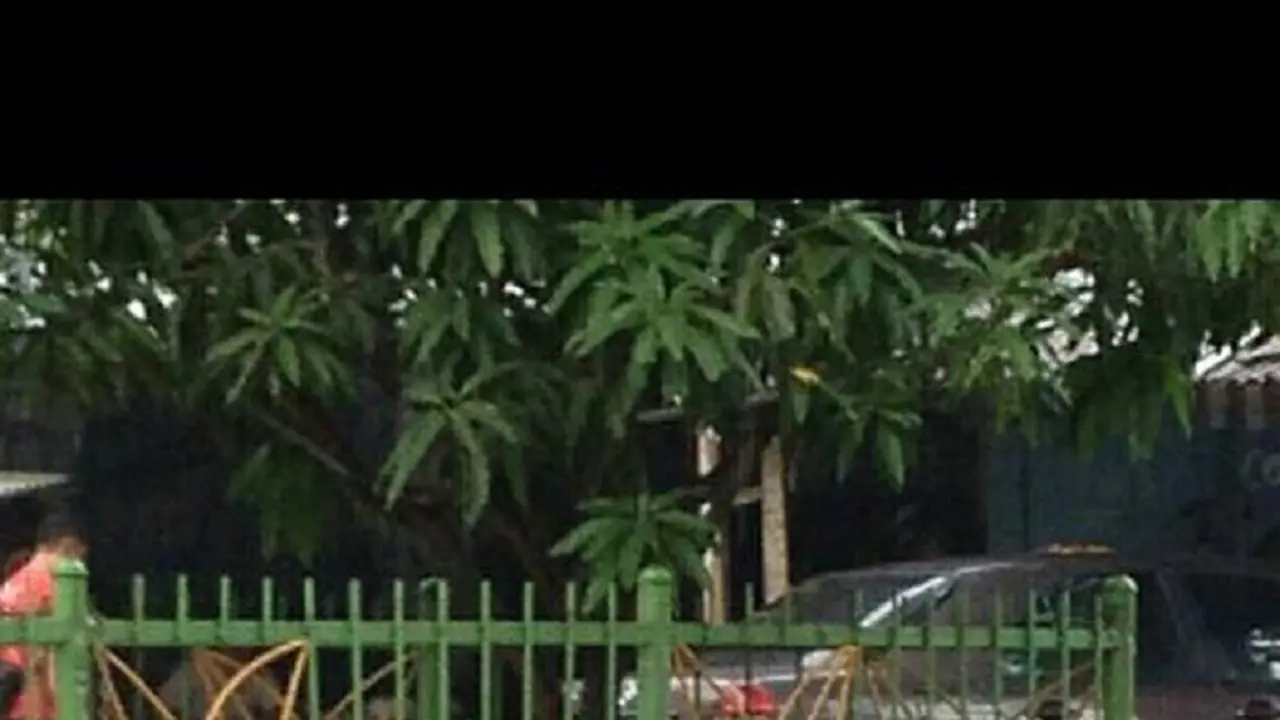 Miris! Dua Anjing Pitbull Ditelantarkan di Pinggir Jalan Jakarta