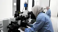 Petugas sedang meneliti di ruang mikroskop Laboratorium Uji Balai Riset Budidaya Ikan Hias (BRBIH), Depok, Jabar, Jumat (8/3). Balai Riset memiliki lima laboratorium untuk mendukung fungsi penelitian. (Liputan6.com/Herman Zakharia)