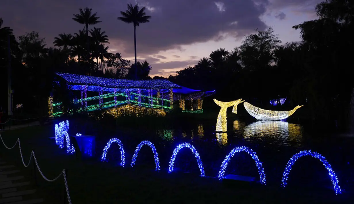 Lampu Natal menghiasi Kebun Raya Jose Celestino Mutis di Bogota, Kolombia, 16 Desember 2021. Dari populasi Kolombia yang berjumlah 49.650.000 jiwa, sekitar 71 persen di antaranya beragama Katolik. (AP Photo/Fernando Vergara)