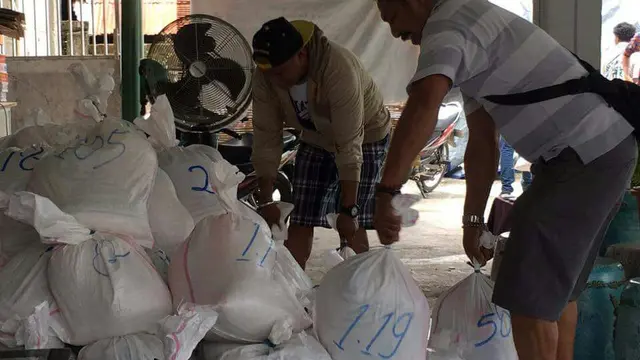 Heli Gado-Gado, 'Angkot' Hemat Pendulang Emas Papua