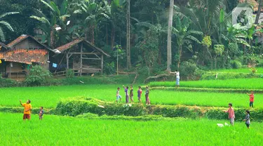 Anak-anak bermain layang-layang pada areal sawah di kawasan Sukamakmur, Bogor, Jumat (15/07/2022). Mereka menghabiskan waktu bermain saat mengisi waktu libur panjang  sekolah.
(merdeka.com/Arie Basuki)