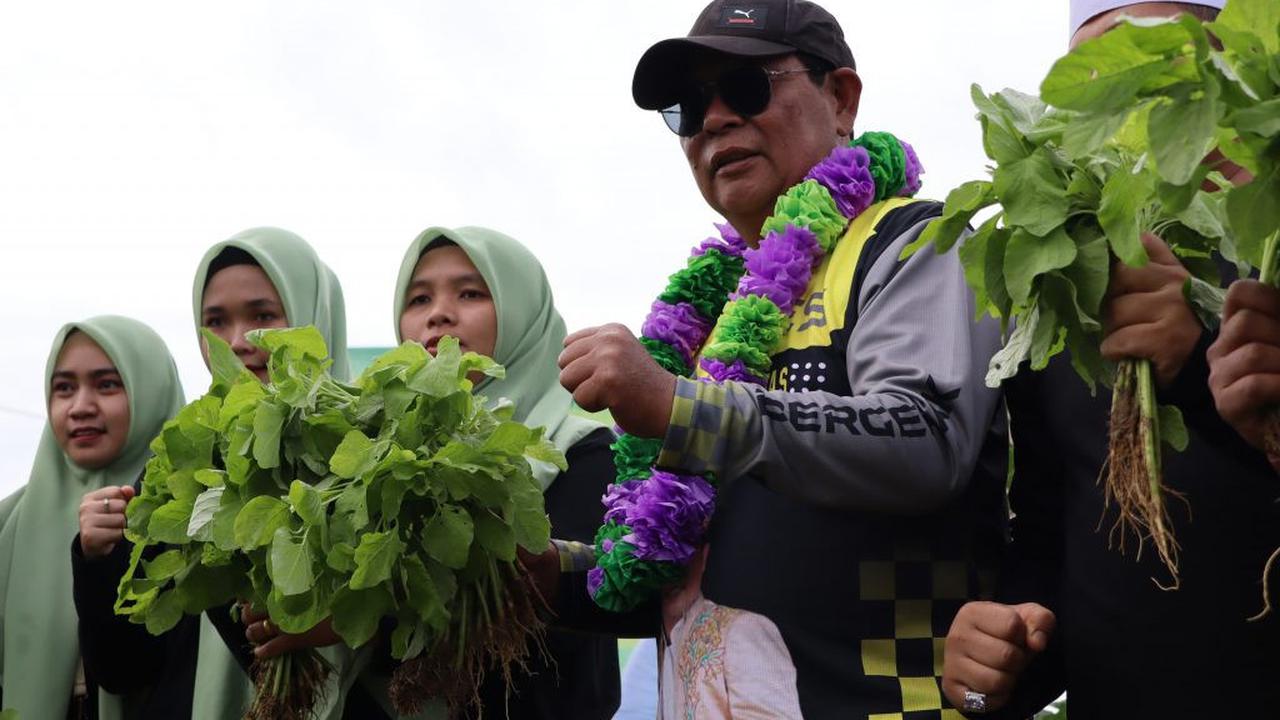 Turdes Hari Ketiga, Gubernur Kalsel Panen Sayuran Segar Bersama Warga Desa Gunung Besar