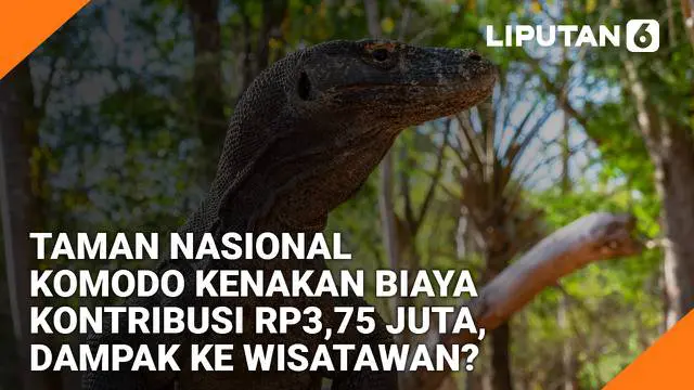 VIDEO Headline: Rencana Tiket Masuk Taman Nasional Komodo Rp3,75 Juta, Sudah Tepat?