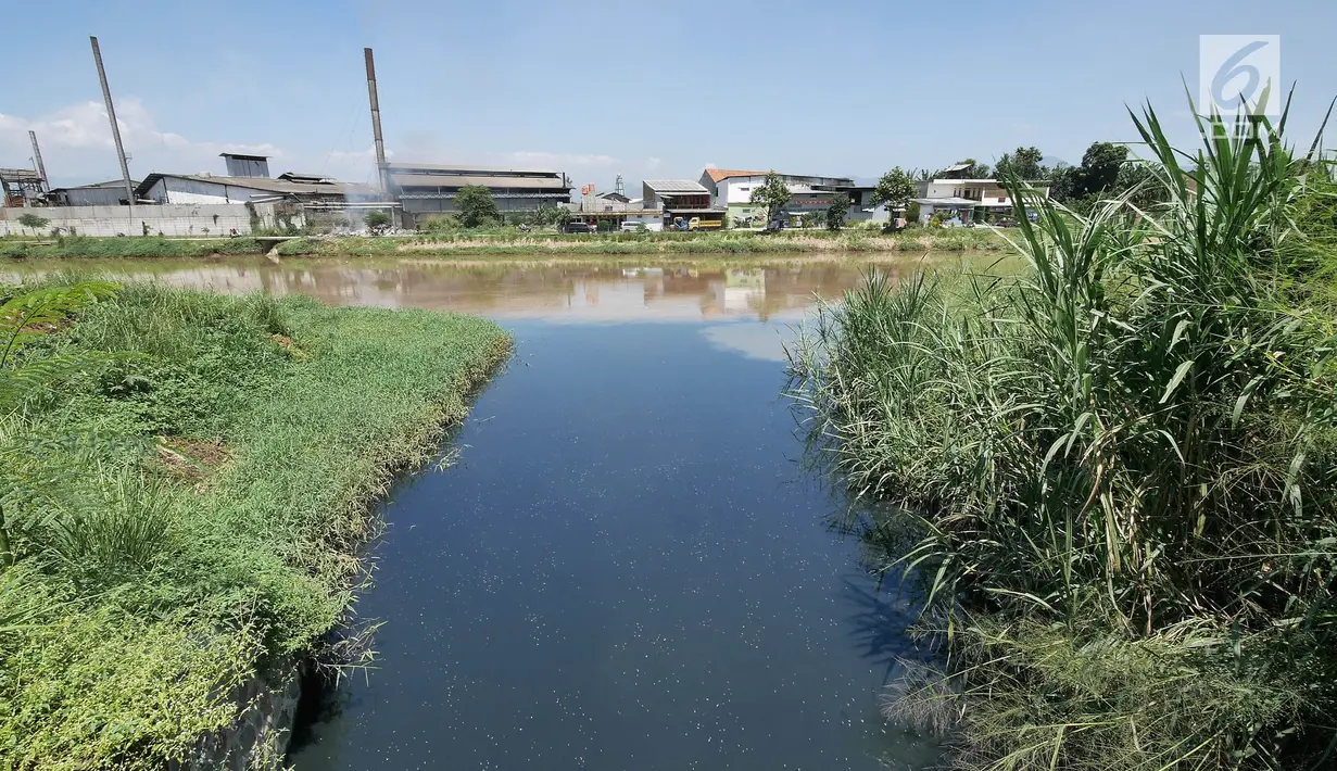 Foto Sungai Citarum di kawasan Cicukang, Bandung, Jawa Barat, Rabu (3/4). Program Citarum Harum akan dilaksanakan oleh Kementerian Koordinator Bidang Kemaritiman. (Liputan6.com/Herman Zakharia)