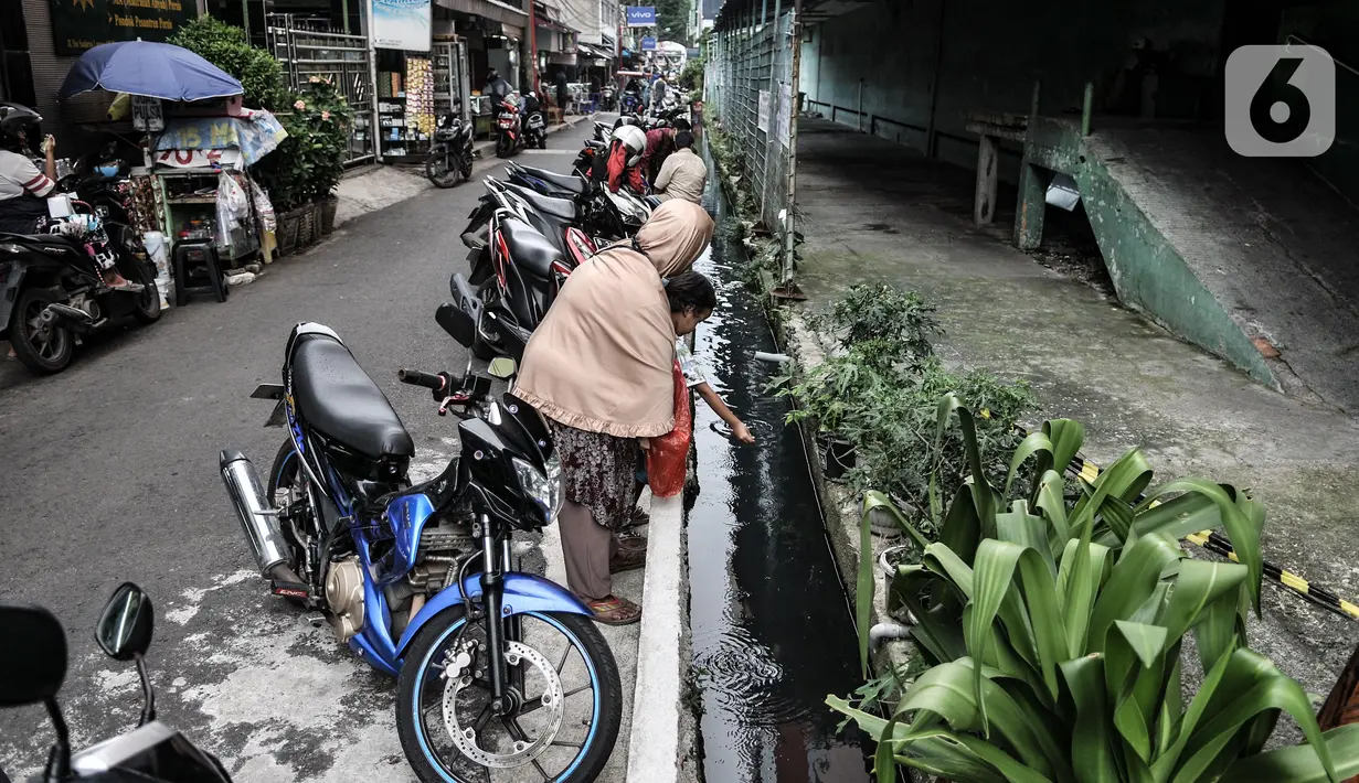 Warga memberi pakan ikan yang dipelihara di saluran air atau selokan di Jalan Lorong 103, Koja, Jakarta, Senin (1/3/2021). Warga setempat menyulap selokan sepanjang 100 meter tersebut menjadi kolam budi daya berbagai jenis ikan. (merdeka.com/Iqbal S. Nugroho)