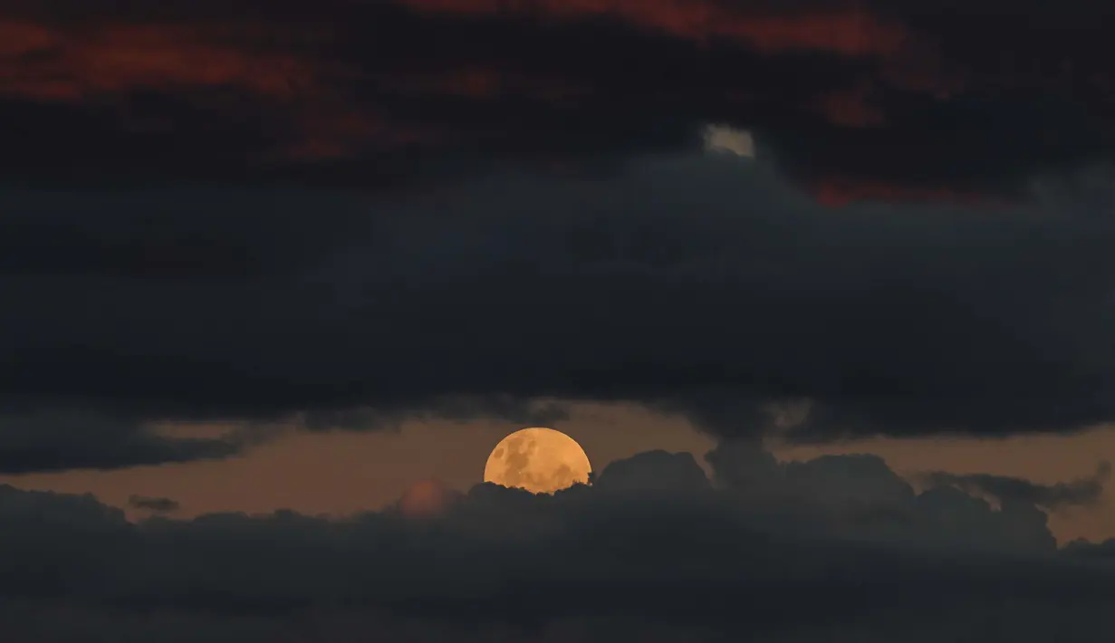 Fenomena strawberry moon atau Bulan Stroberi terakhir kali muncul pada 2006 dan akan datang kembali pada tahun 2043. Tampak dalam foto, bulan purnama yang dikenal sebagai 'Bulan Stroberi' muncul di atas Pantai Bondi di Sydney, Australia pada 11 Juni 2025. (SAEED KHAN/AFP)