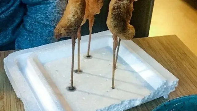8 Potret Presentasi Makanan di Restoran Ini Nyeleneh Banget, Di Luar Nalar