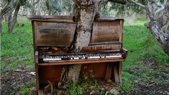 13 Foto Menakjubkan Bukti Kekuatan Alam Mampu Melawan Peradaban