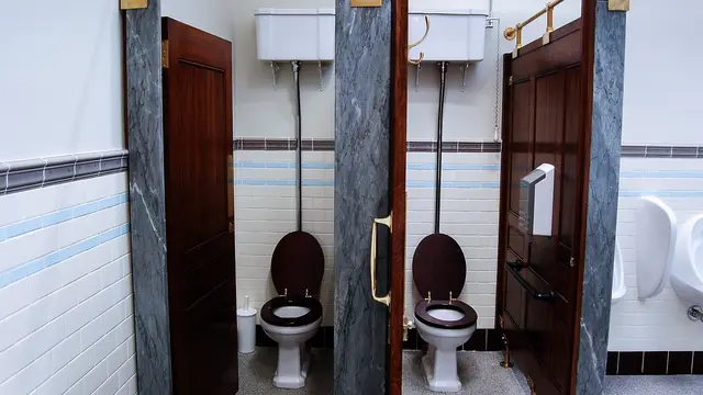 Ilustrasi Toilet