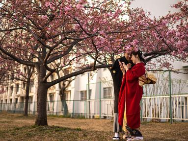 Sepasang kekasih berdiri di bawah pohon sakura di sebuah taman di distrik Edogawa, Tokyo, Jepang pada Kamis 23 Februari 2023. Tak lama lagi, musim semi tiba di Jepang, dan saatnya untuk melihat bunga sakura bermekaran. Tokyo akan menjadi salah satu kota pertama yang melihat bunga sakura yang diperkirakan akan mekar sekitar 18 Maret dan puncaknya pada 27 Maret. (Philip FONG/AFP)
