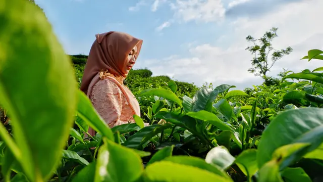 ramadan 2021 dan tujuh tahun ramadan