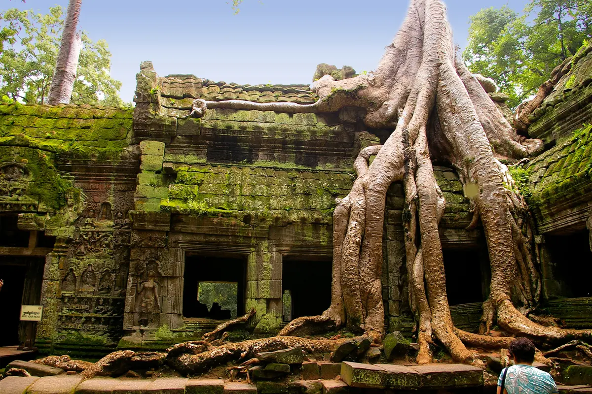 [Bintang] Kamboja