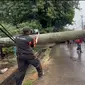 Pohon tumbang yang disebabkan hujan deras disertai angin kencang, menimpa truk dan mobil di Pamulang, Tangerang Selatan. (Pramita Tristiawati/Liputan6)