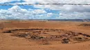 Puluhan bangkai kuda tergeletak dekat kubangan air kering di Cameron, Arizona, Amerika Serikat, 3 Mei 2018. Kematian lebih dari 100 ekor kuda liar itu adalah salah satu contoh paling mencolok dari kemarau panjang di wilayah tersebut. (AP/Felicia Fonseca)