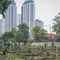 Petugas Suku Dinas Pertamanan dan Hutan Jakarta Selatan membersihkan salah satu makam di Tempat Pemakaman Umum (TPU) Grogol Selatan, Jakarta. (Antara)