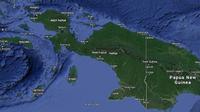 Ilustrasi Papua (Google Maps)