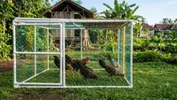 6 Desain Kandang Ayam Umbaran Portable: Solusi Fleksibel untuk Lahan Terbatas