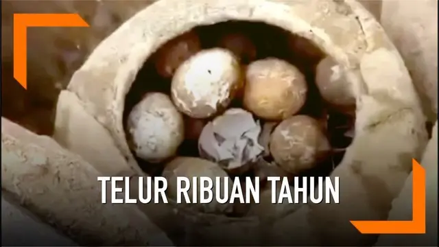 Arkeolog China menemukan satu toples telur berusia 2500 tahun di makam kuno. Ini merupakan penemuan kelima di makam kuno tersebut.