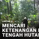 Mencari Ketenangan di Tengah Hutan