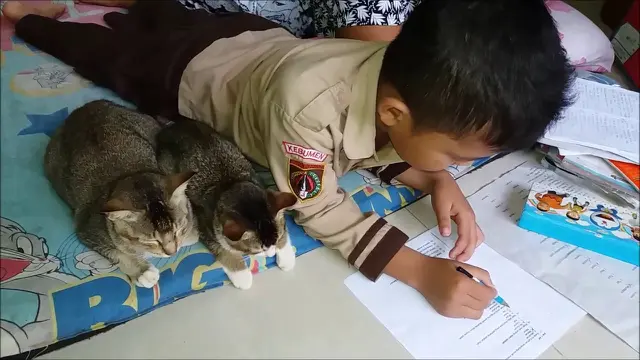 6 Potret Nyeleneh Anak Belajar Bareng Kucing Ini Bikin Geleng Kepala