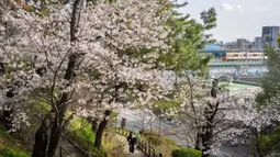 Mekarnya bunga Sakura menciptakan pemandangan merah muda yang ikonik. Tampak dalam foto, orang-orang berjalan di bawah pohon sakura saat kereta lewat di Tokyo pada Senin 30 Maret 2026. (Yuichi YAMAZAKI/AFP)
