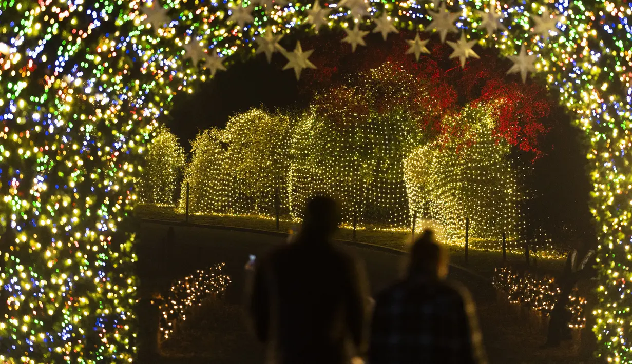 Pengunjung berjalan melalui terowongan cahaya pada pertunjukan cahaya Holiday Road di Calabasas, California, Amerika Serikat, 10 Desember 2021. Holiday Road digelar sepenuhnya setelah pandemi COVID-19 mengubah festival cahaya tahunan ini menjadi acara drive-thru tahun lalu. (AP Photo/Jae C.Hong)
