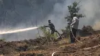 Anggota tim pemadam kebakaran berusaha memadamkan kobaran api di hutan di bagian utara provinsi Latakia Suriah pada 29 Juli 2023, saat kebakaran hutan yang terjadi di tengah suhu yang melonjak beberapa hari lalu terus melanda daerah tersebut. (LOUAI BESHARA / AFP)
