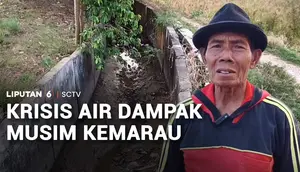 Warga dan Petani Alami Krisis Air, Ratusan Hektare Sawah Mengering