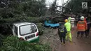 Sejumlah mobil tertimpa pohon akibat Hujan dan Angin di wiliyah Serua, Ciputat, Rabu (12/12). Hujan beserta angin yang mengguyur sejumlah wilayah kota Tangerang Selatan membuat pohon besar tumbang menimpa mobil. (merdeka.com/ arie basuki)