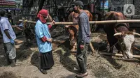 Tim dokter berbincang kepada salah satu pemilik saat memeriksa kesehatan hewan kurban di Jalan I Gusti Ngurah Rai, Jakarta, Kamis (15/7/2021). Sudin KPKP Jakarta Timur juga melakukan pemeriksaan di penampungan yang tersebar di 10 kecamatan. (merdeka.com/Iqbal S. Nugroho)