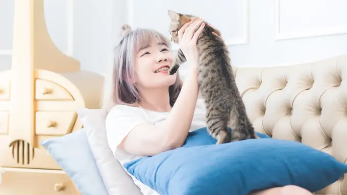 Tampil Beda, 5 Ras dengan Ciri Fisik Unik ini Siap Mencuri Hati Catlover