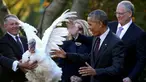 Reaksi Presiden AS Barack Obama saat seekor kalkun mengembangkan sayapnya di acara Thanksgiving di Rose Garden Gedung Putih, Washington, AS, Rabu (23/11). (REUTERS / Carlos Barria)