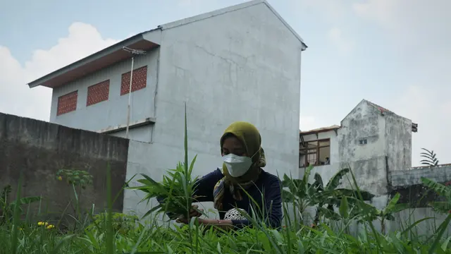 Seni Tani